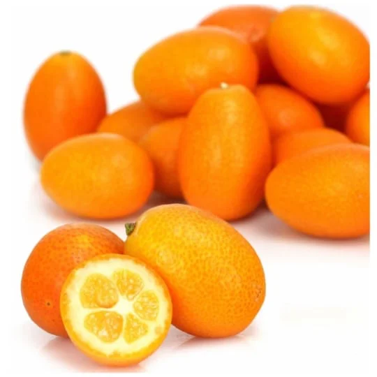 Kumquat