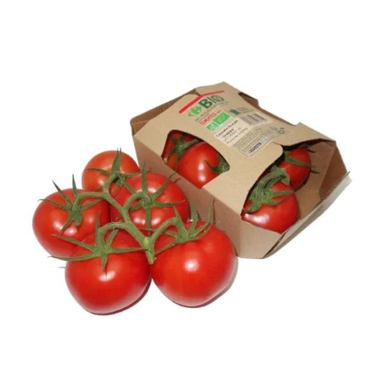 Tomate ronde en grappe Bio