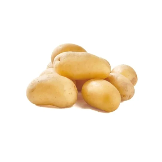 Pomme de terre ratte