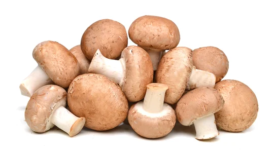 Champignons bruns