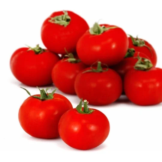 Tomates rondes bio