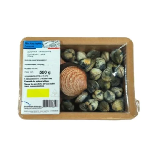 Coques et amandes vivantes