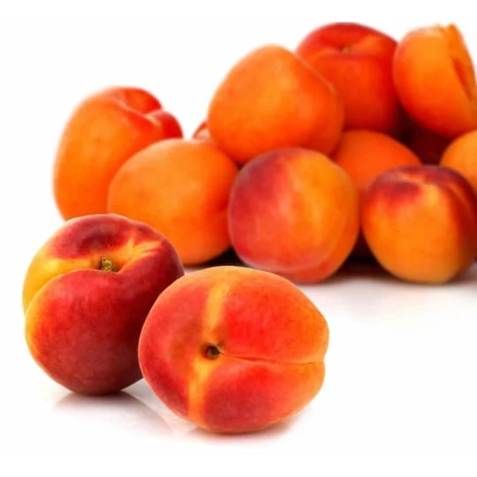 Abricots Bergeron