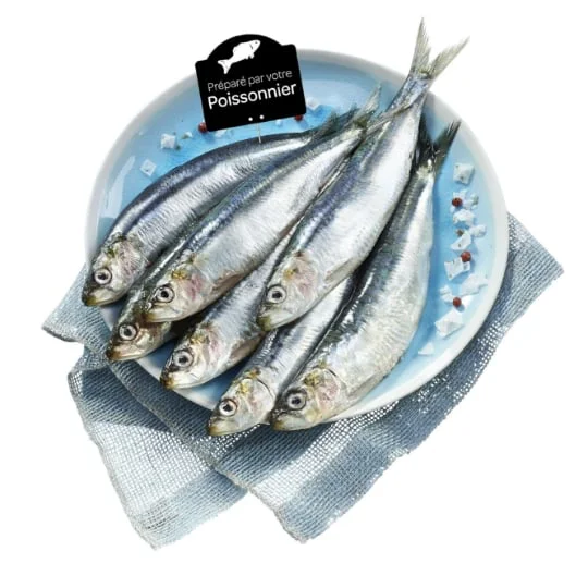 Sardines Atlantique