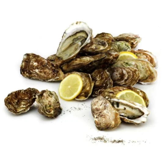 Huîtres fines de Claires Marennes Oléron IGP N°4