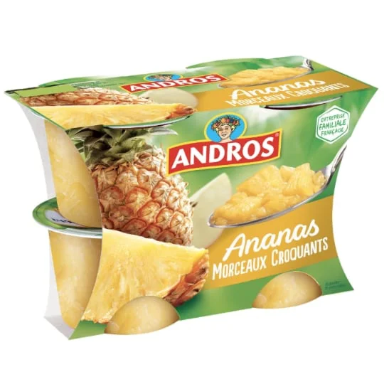 Dessert de fruit d'ananas avec morceaux