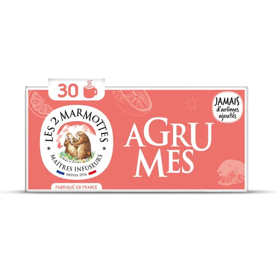 Infusion Agrumes x30