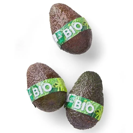 Avocat Bio Hass