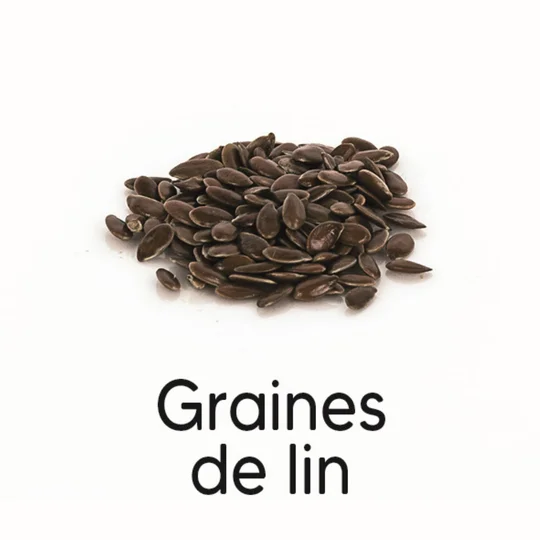 Graines de lin BIO en vrac
