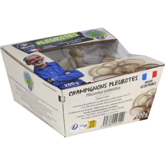 Pleurote Agroécologie