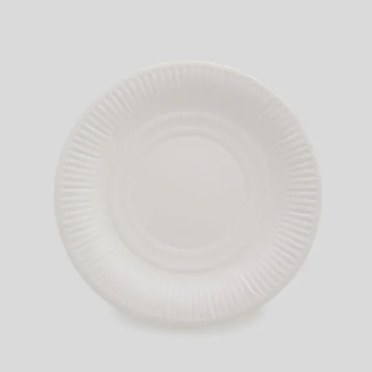 100 Assiettes Blanches
