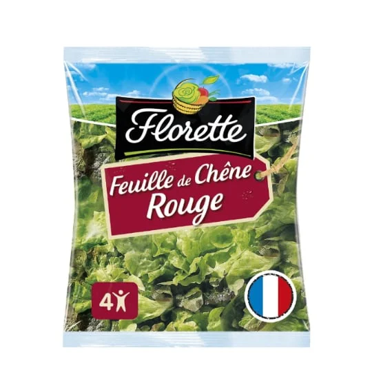 Petites feuilles de chêne rouges