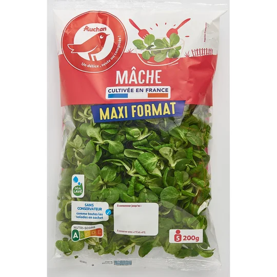 Mâche
