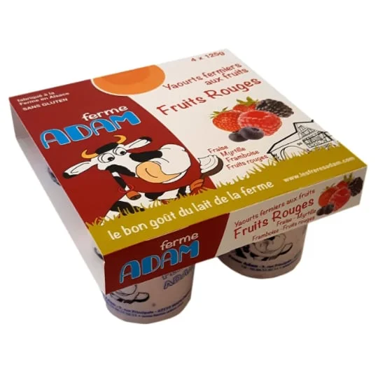 Yaourts aux fruits rouges