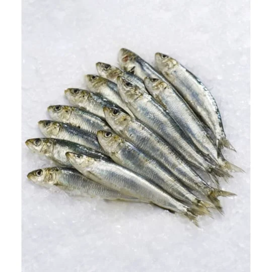 Sardine Méditerranée vrac