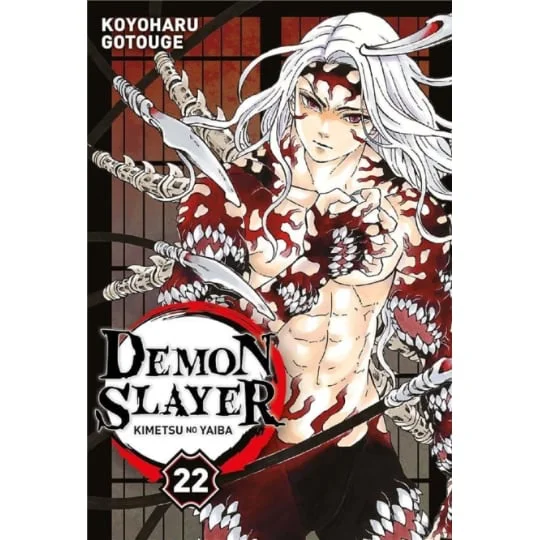 Manga Demon Slayer Tome 22