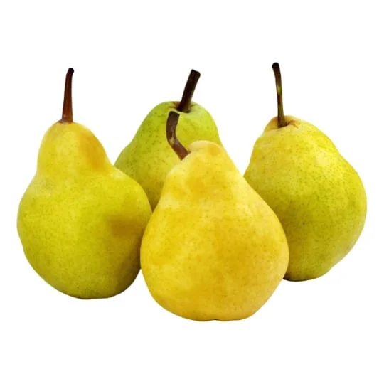 Poires Guyot vrac