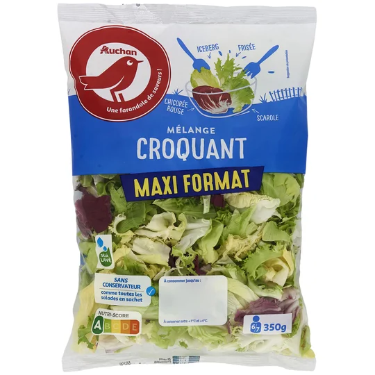 Mélange croquant de frisée chicorée rouge scarole et iceberg