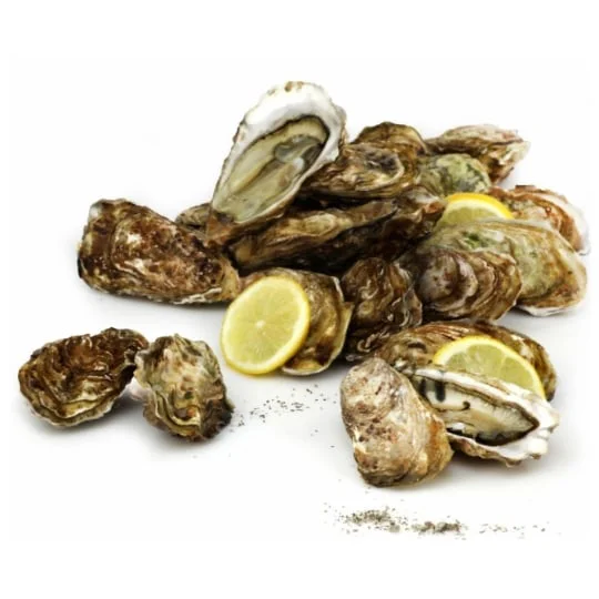 Huîtres fines Normandie Ouest N°3