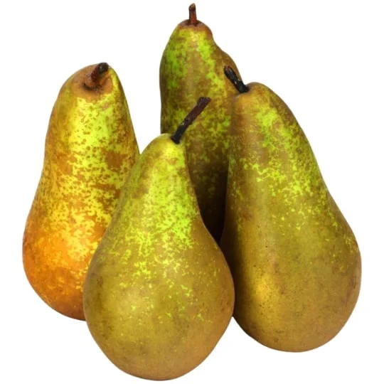 Poire Conférence Bio Conférence