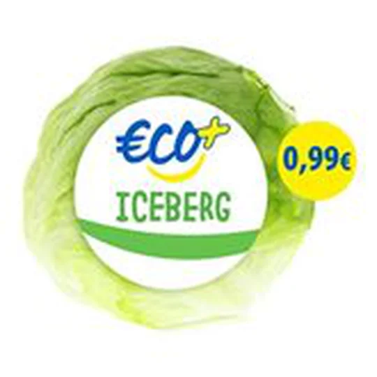 Iceberg