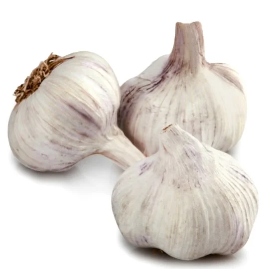 Ail 3 têtes Lautrec