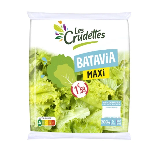 Salade batavia forma maxi