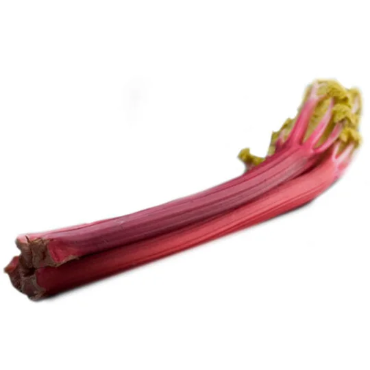 Rhubarbe Mikoot