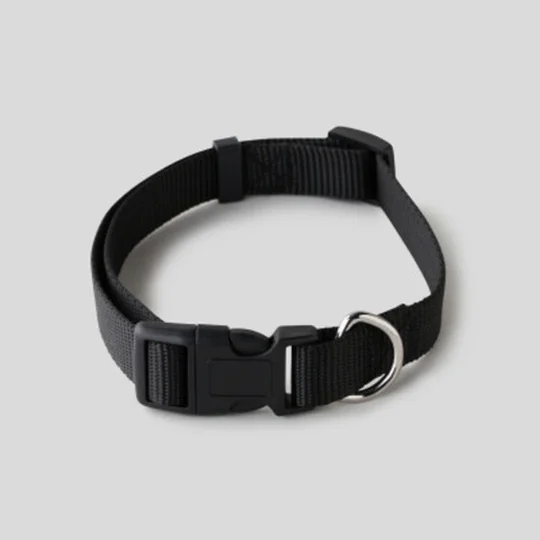 Collier chien noir 2 N00 M