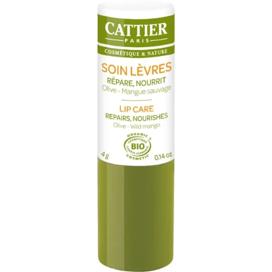 Stick à lèvres olive et mangue sauvage Bio