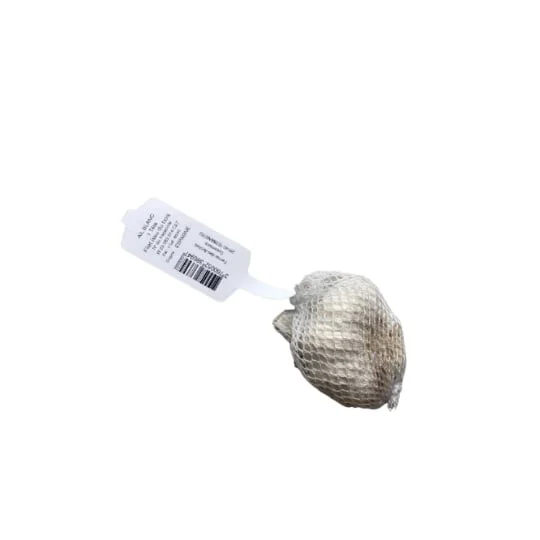 Tête d'ail