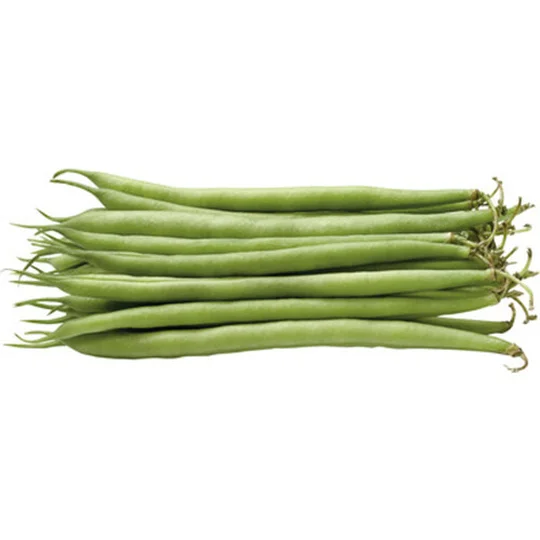 HARICOT VERTS FINS