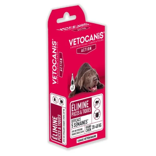 Antiparasitaire pour chien