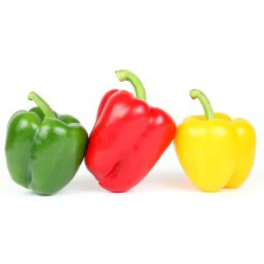 Poivron tricolore catégorie 1