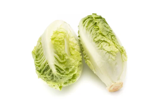 Salades sucrines bio