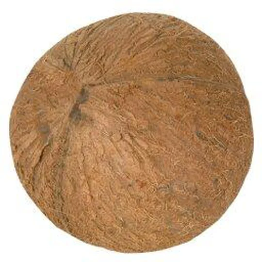 Noix de coco