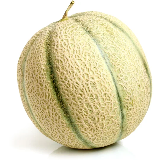 Melon charentais bio