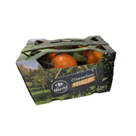 Clémentine feuille