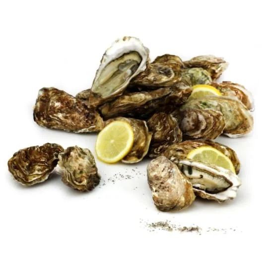 Huîtres fines de Claires Marennes IGP N°4
