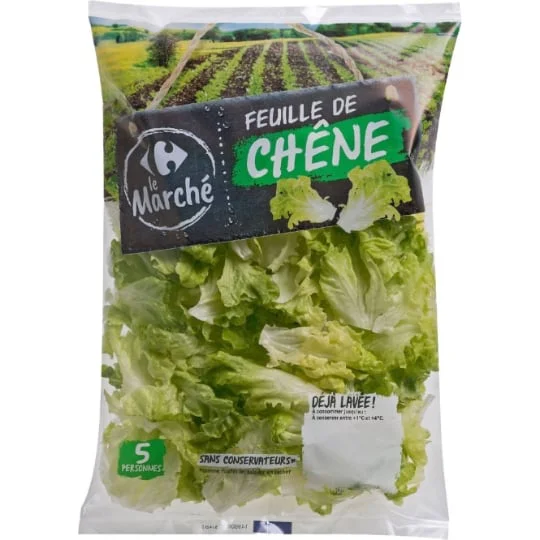 Salade feuille de chêne