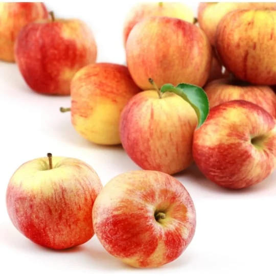 Pommes Gala