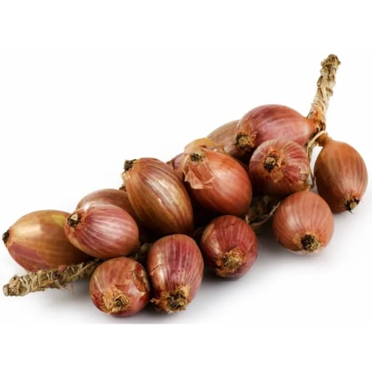 Echalotes longues traditionnelles en grappe