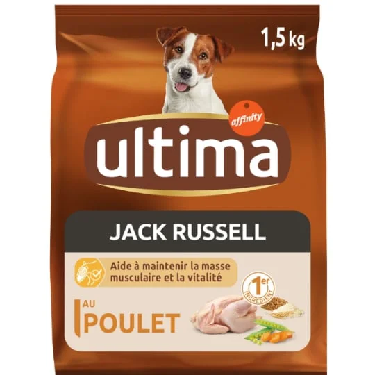 Croquettes pour chien jack russell