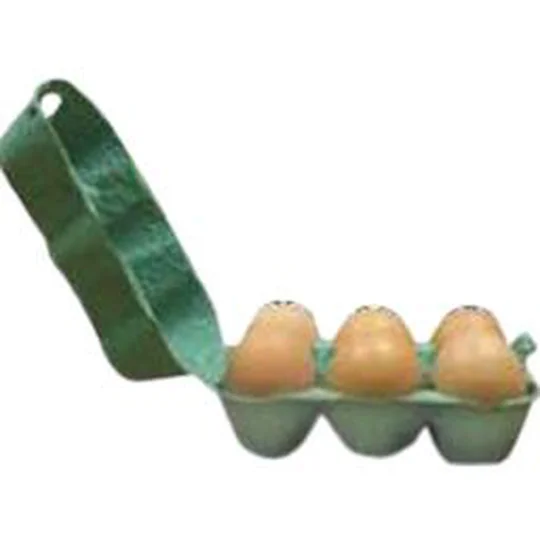 Oeufs de poules Plein Air