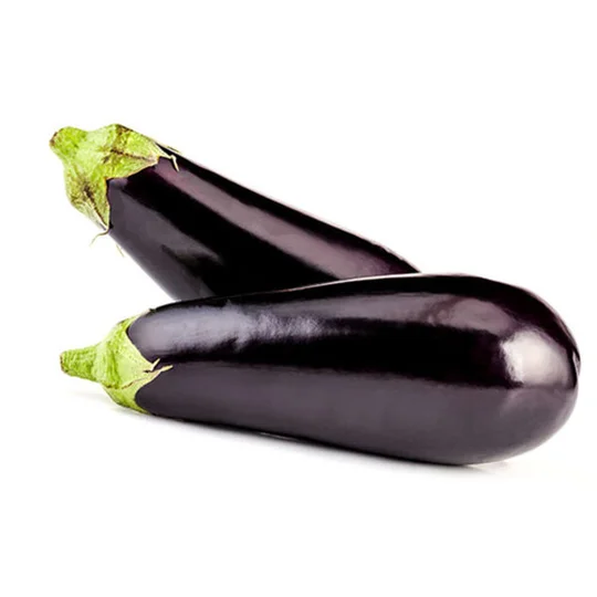 Aubergine Bio