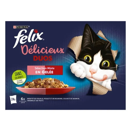 Pâtée pour chat adulte duo en gelée