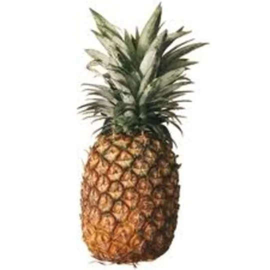 Ananas Cayenne
