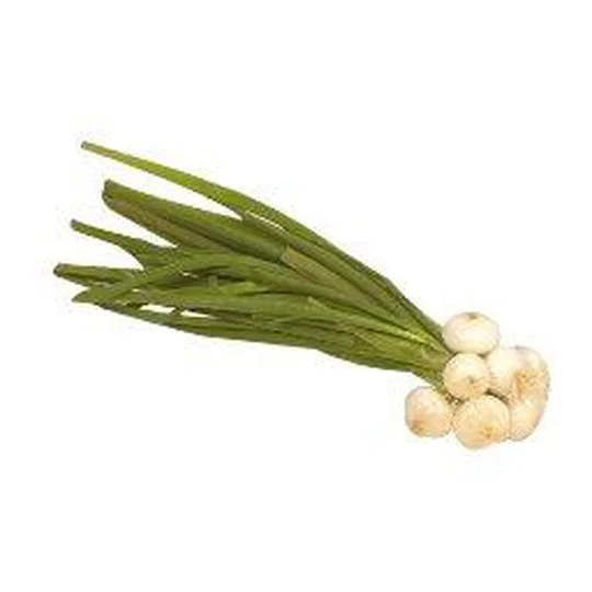 Oignons blancs, la botte