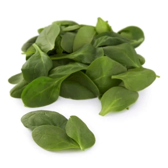 Pousses d'épinard Bio