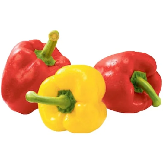 Poivron panachés Bio